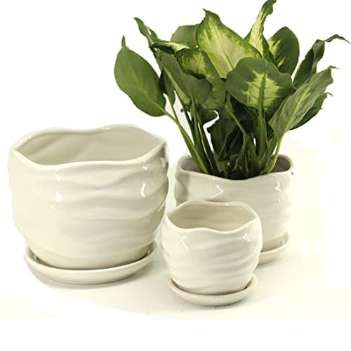 Mecai Set of 3 Medium Sized Garden Flower pot small Plants Round Ceramic planter Succulent Cactus Plant Pots(white wave)