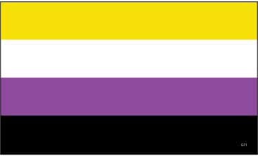 Non Binary Pride Flag Decal - 3 x 5 inch Bumper Sticker - Professionally Made in USA - Vinyl Decal
