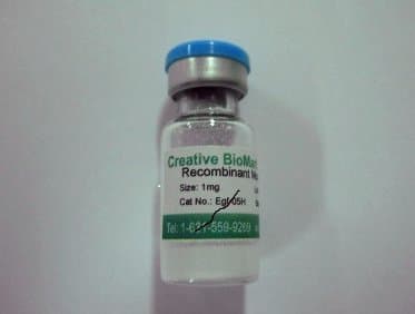 GST-8543S Recombinant Schistosoma japonicum GST