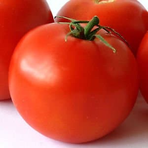 Creative Farmer Indian Gardening 200 Seeds Tomato Large Red Avimanyu Non Gmo Fruit Vegetable Seeds
