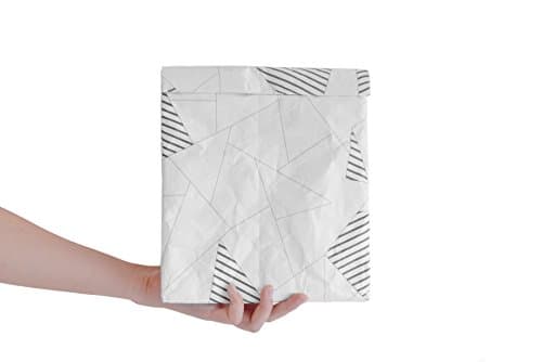 Honbeanify Eazeehome Reusable Paper Tyvek Lunch Bag Insulated Waterproof Anti-Tear with Magnetic Closure