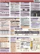 Nikon D3100 CheatSheet Pamphlet