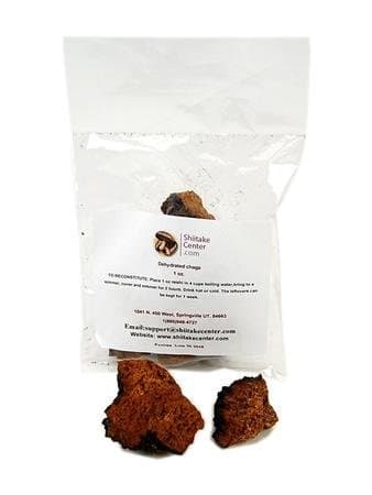 Dried Chaga Medicinal Mushroom Tea - 1 Oz Dry European Chaga Fungi: Makes 4 Cups of Healing Herbal Tea