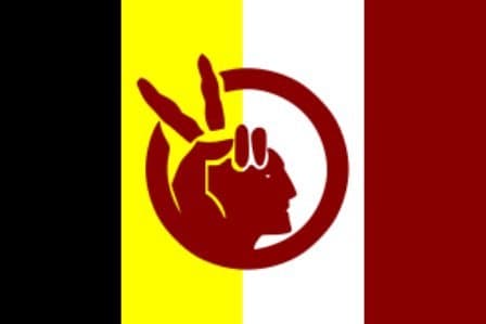 3'x5' American Indian Movement Flag, A.I.M, aim america banner