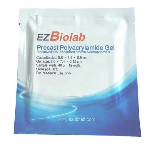 EZG2001-10F-20 Precast Ez Gel, 10%, 15 Wells, 1.5 mm Thickness (Pack of 20)