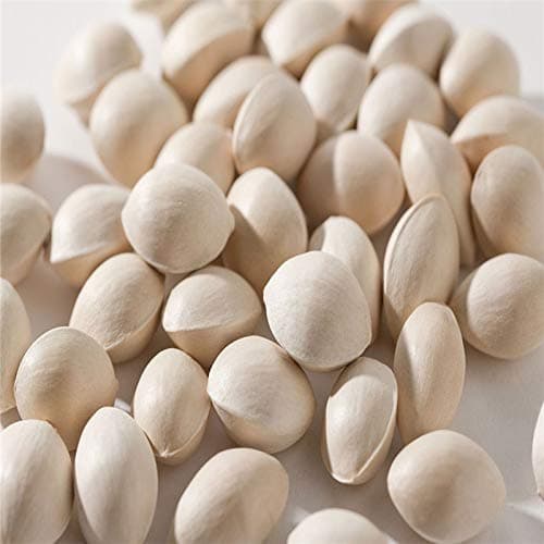 Premium Ginkgo Biloba Seeds,Rare Ginkgo Tree Plants Seeds Easy Growing for Home Yard Garden Planting Potting Ornament