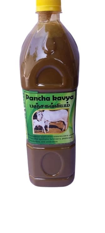 KAAN ORGANICS Panchagavya - Organic Growth Promoter Liquid Fertilizer for Plants - Pack of 1