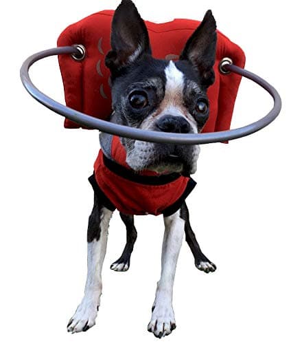 Muffin’s Halo® – The Original Blind Dog Halo | Harness & Bumper Collar Accessory for Safe Navigation & Confidence – Red, Size 6