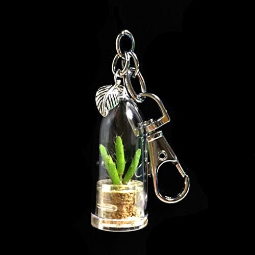 Live Cactus Keychain Wearable Miniature Apple Cactus Keychain Nature Terrarium