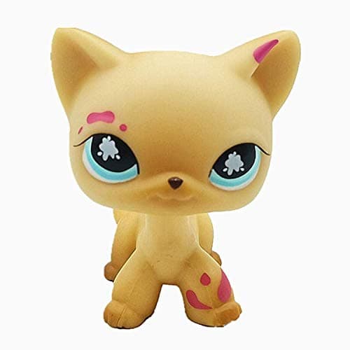 Wooer Cute Animal Pet Cat Collection Child Girl Boy Cat Figure Toy