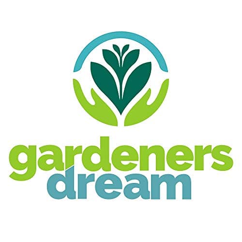 Cotoneaster X watereri 'Cornubia' | Cotoneaster | Ornamental Garden Tree | 5-6ft