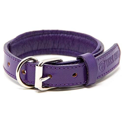 Logical Leather Padded Dog Collar - Best Full Grain Heavy Duty Genuine Leather Collar - Purple - Small
