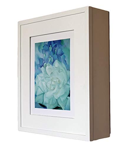 Fox Hollow FurnishingsPicture Perfect Medicine Cabinet - a Wall-Mount Picture Frame Medicine Cabinet (White)