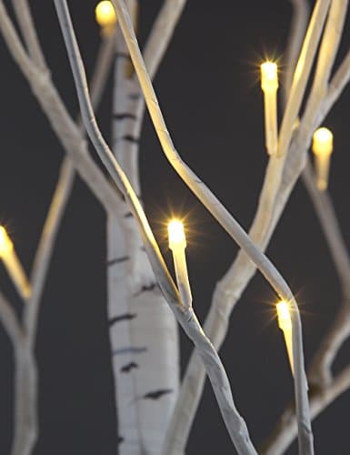 Lightshare 4 Feet Birch Tree, 48 LED Lights, Warm White, For Home, Festival, Party, and Christmas Decoration, Indoor and Outdoor Use