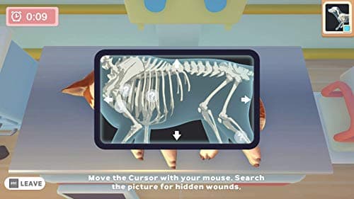 Pet Clinic: Cats & Dogs