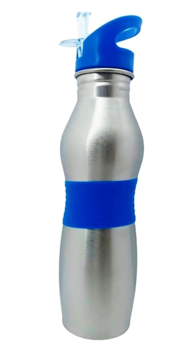Stainless Steel Water Bottle 650ml, Easy Grip | School | Gym | Leak Proof | Office bottle 650 ml (Blue)