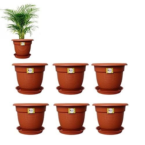 spylark Premium First Smart Plastic Elegance Pot Set (10-inch)(Pack of 6)