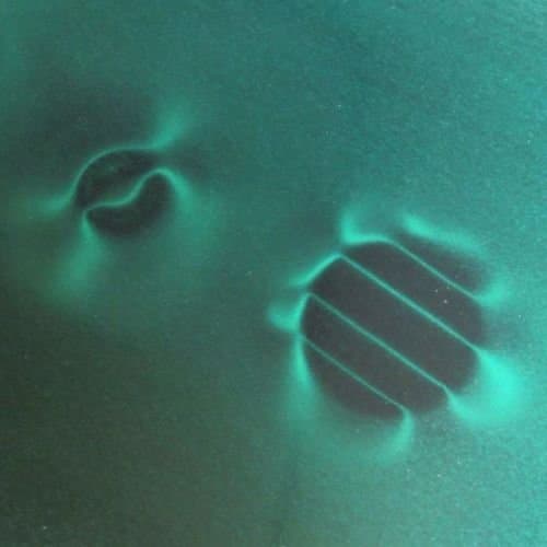 The Magnet Shop Decorative Magnet, Large 150 x 150 mm, Mid Green