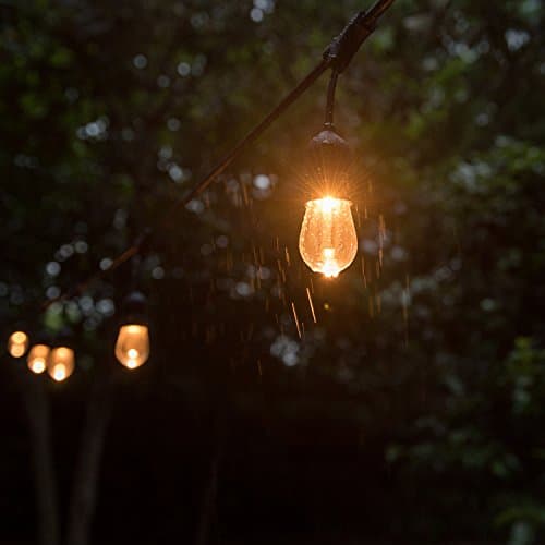 Generalight Cafe LED String Lights, 48ft, 15 Acylic Lifetime Bulbs, Premium, Weatherproof, Shatterproof, Commercial Grade lighting-Clear