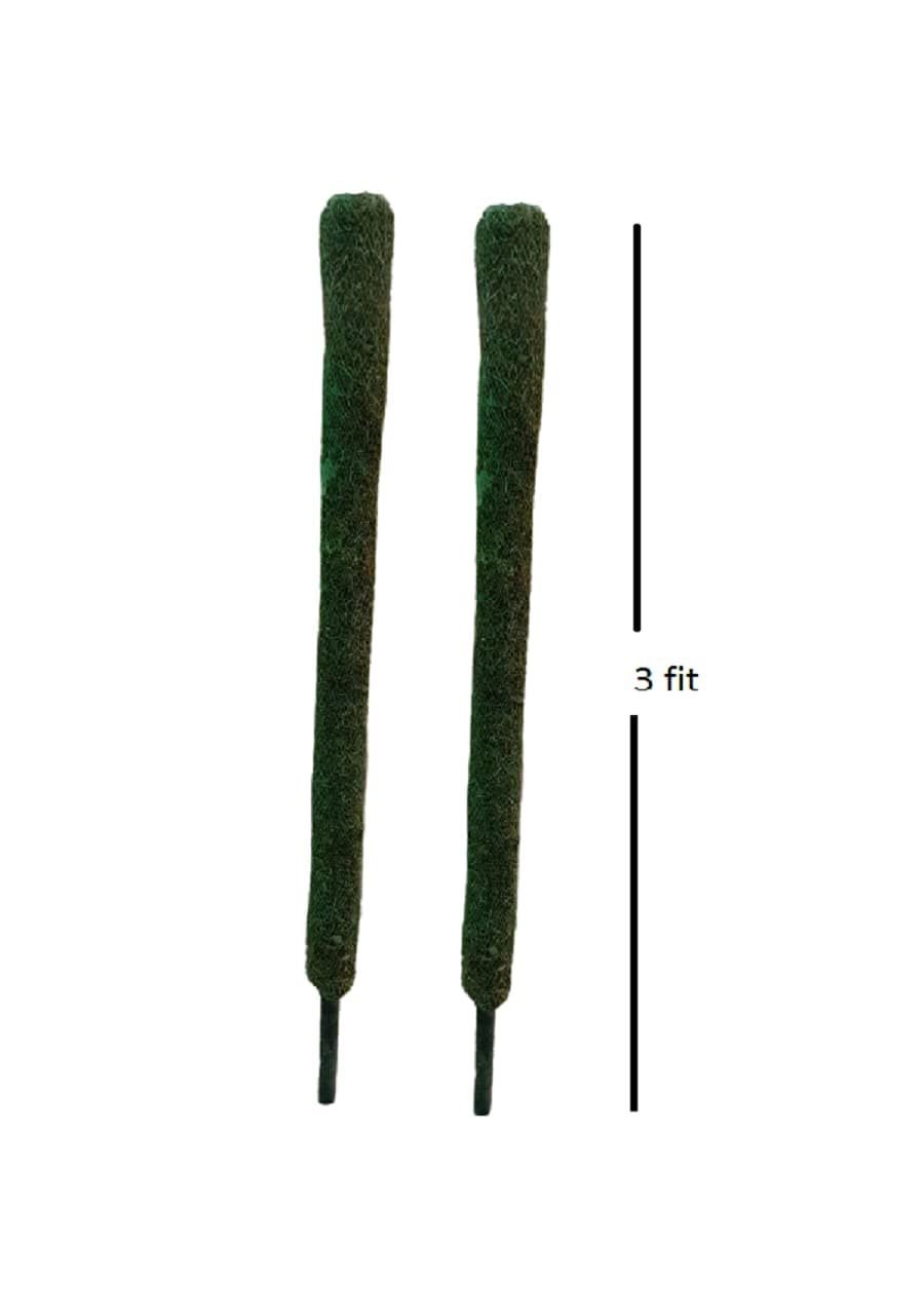 Bhajanlal Greenery Moss Grass Stick for Climbing Money Plant, Indoor and Outdoor Plants, Support (2 Foot) -Set of 2