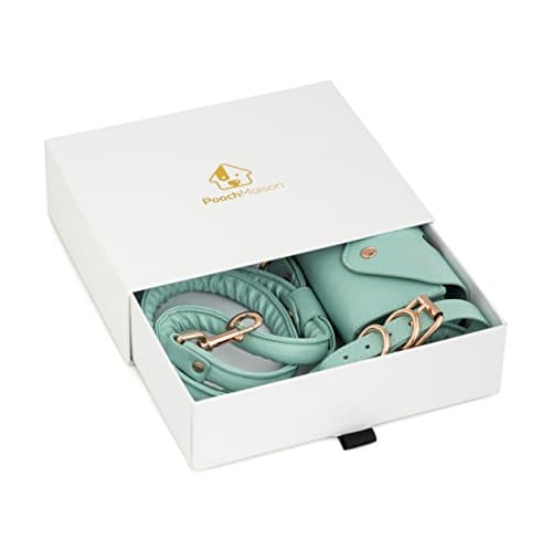 Matching Dog Walking Accessories (Small, Green): 3 in 1 PU Leather Set with Adjustable Leash, Collar and Essentials Bag for Poop Bags, Keys, Treats and Cards in Gift Box - Walk Your Dog in Style