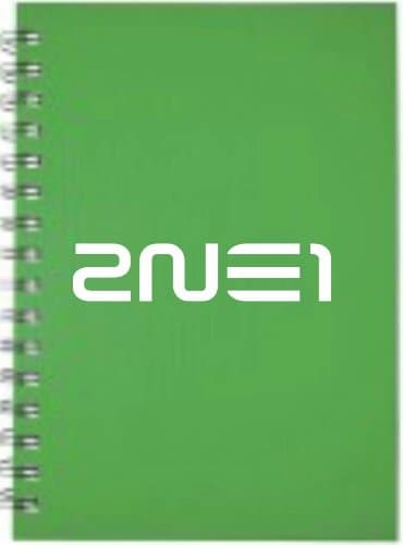 2NE1 Kpop Band 8" Die Cut White Vinyl Decal Sticker for Car Automobile Window Bumper Truck Laptop Ipad Notebook Computer Skateboard Motorcycle