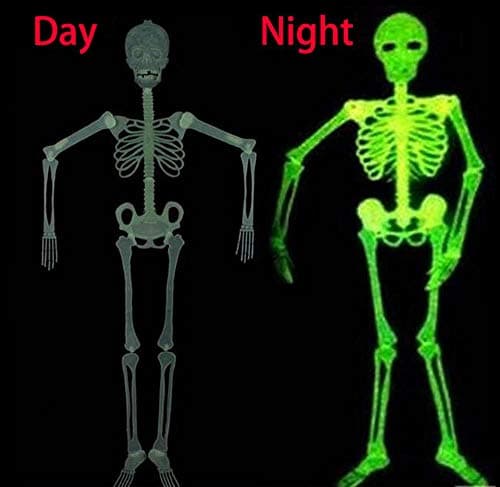 Halloween 5 Ft Skeleton Luminous Glow-in-The-Dark Skeleton for Halloween Party Bar Wall Sticker Decorations Outdoor Yard Garden Hanging Ornaments Props (5ft Skeleton)