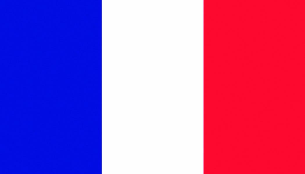 SeaSense France Boat Flag