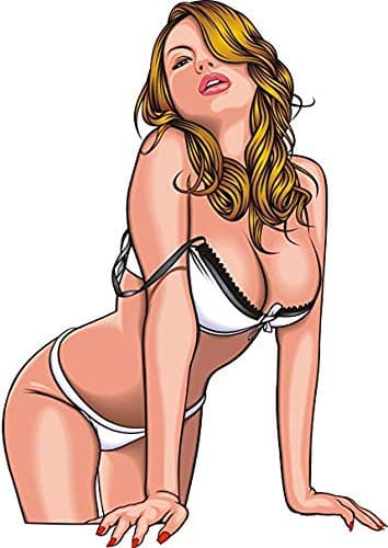 EW Designs Sexy Beautiful Woman Girl Lady Long Blonde Hair in LACE Bikini Black White Nude RED Peach Pink White Vinyl Decal Bumper Sticker Two in One Pack (4 Inches Tall)