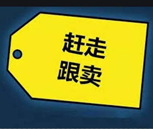 Oil Press Machine, Press Oil Coconut Electric Oil Press Oil Extractor 0-300℃ Temperature Control Digital Display for CoCo Castor Walnut Peanut