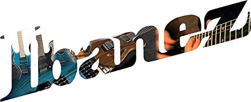 Ibanez Logo Guitar Design Vinyl Decal Wall Laptop Bumper Sticker 5"
