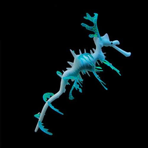 New Leafy Sea Dragon S Blue Aquarium Fish Tank Landscape Decoration Glow Simulation Animal Plants Ornament no.15