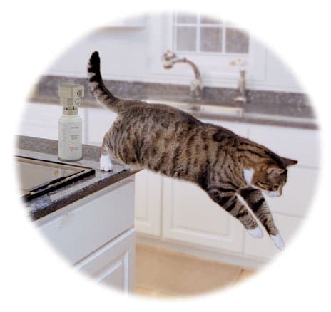 Premier Spray Sentry Kit