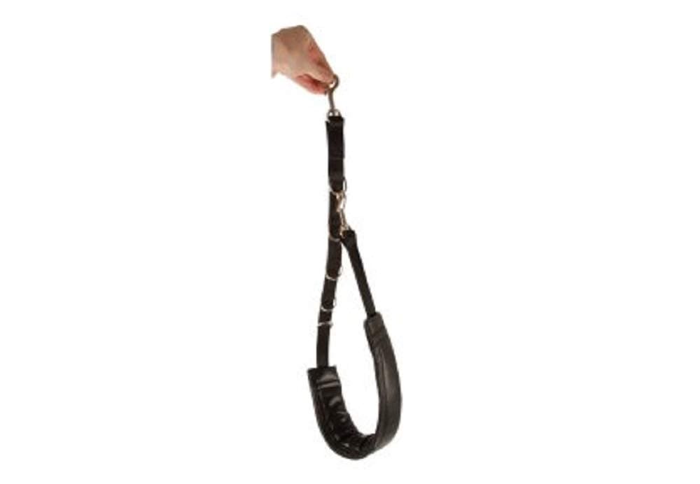 Show Tech Comfort Dog Belly Strap, Your Dog Grooming Expert, Strong Double-Stitched Nylon, Padded Straps for Comfort, Large