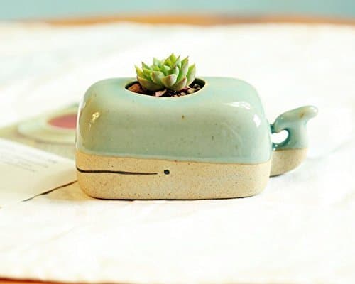 Cute Succulent Planter Pot. Whale Planter. Ceramic Stoneware Cactus Pot. Fast Shipping with Prime. Handmade Animal Pottery Item.