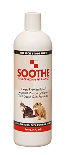 Soothe Anti-Fungal and Anti-Bacterial Chlorhexidine Pet Shampoo 16 oz.