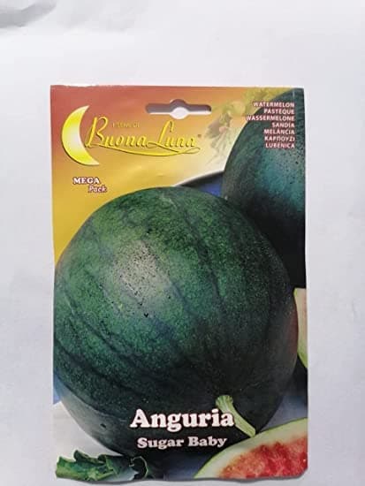 ANGURIA SUGAR BABY (WATERMELON