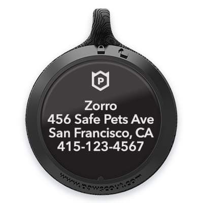 Pawscout Tag and Custom Nameplate Bundle - The Smarter Pet Tag - Pet Tracker for Dogs & Cats - Bluetooth (not GPS) - Silver Dollar Size - Outdoor Virtual Pet Leash - No Monthly Fees