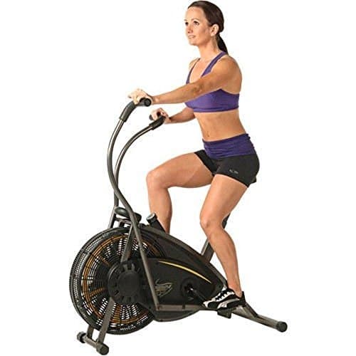 Stamina Exercise Bike Stationary Upright Fitness Bicycle Air Resistance Cardio