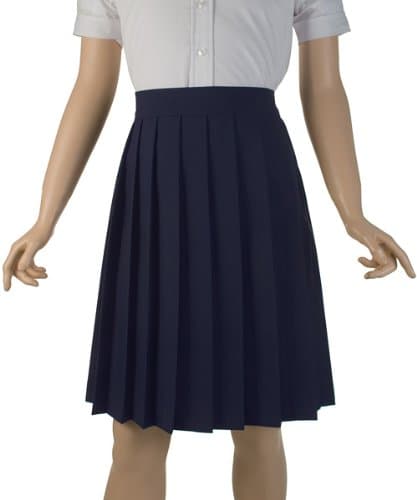 French Toast Girls Pleated Skirt (4-20) (16, Navy)