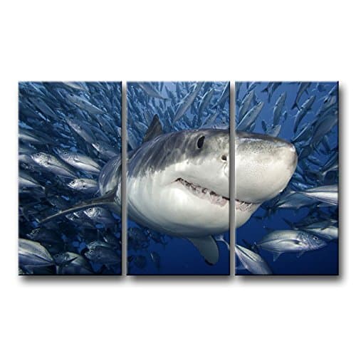 So Crazy Art 3 Piece Blue Wall Painting Shark Catching Fish Pictures Prints On Canvas Animal The Picture Decor Oil for Home Modern Decoration Print