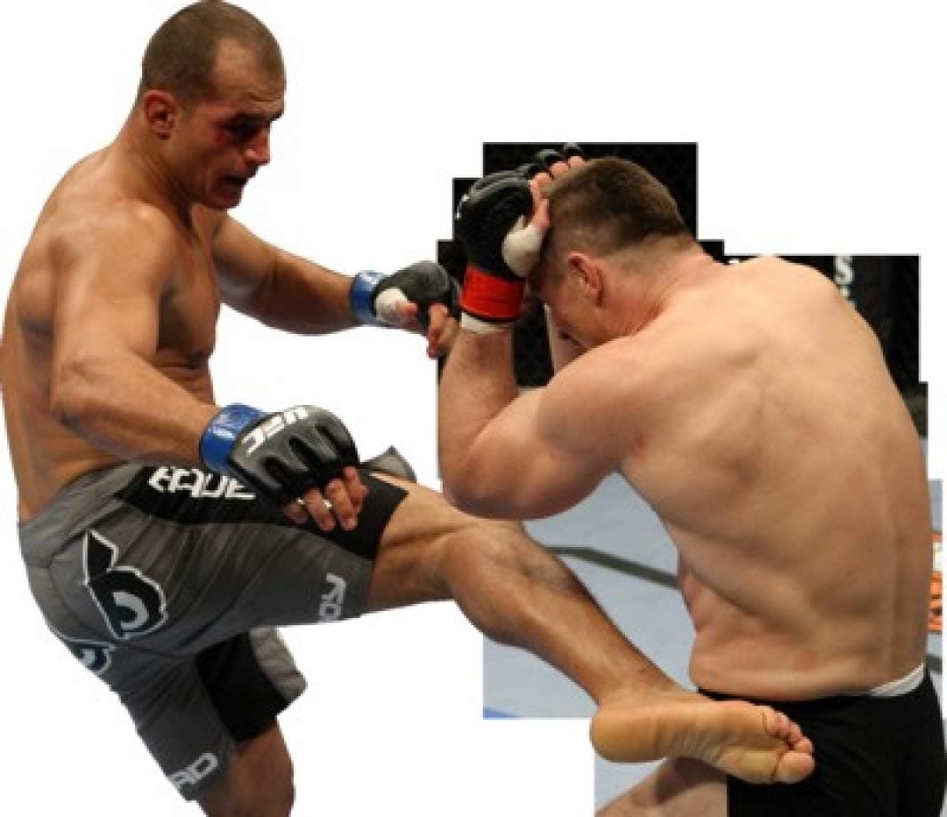 Shine On Junior Dos Santos V Mirko Cro Cop - 24X36 Poster SOG #SOG313667
