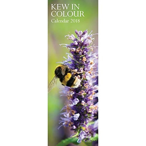 Royal Botanic Gardens Kew 2018 S (Slim Standard) Paperback – 1 Aug. 2017