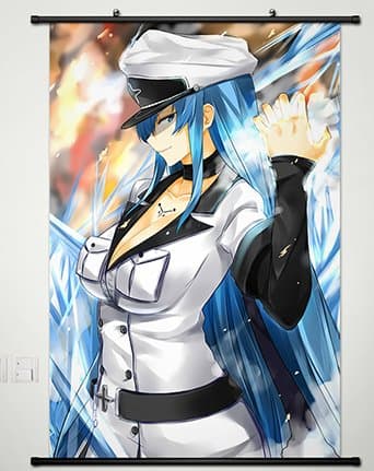 Akame ga Kill Wall Scroll Poster Fabric Painting Anime Esdeath 064 L