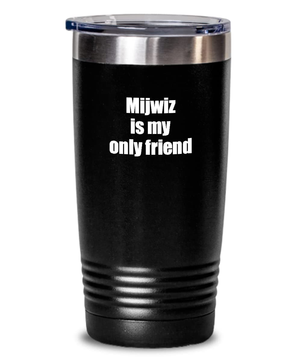 Funny Mijwiz Tumbler Is My Only Friend Quote Musician Gift For Instrument Player Insulated Cup With Lid Black 20 Oz