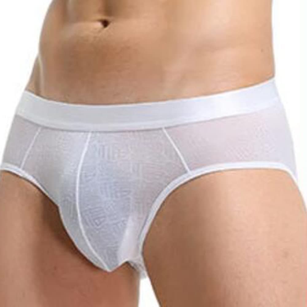 2pcs Soft Comfortable Underwear Ice Silk Sheer Transparent Mesh Men's Briefs Printed Shorts (Color : White, Size : L)