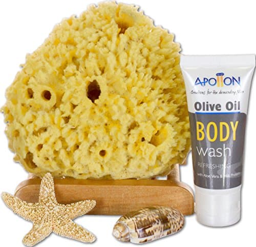 SeaSationals™ Natural Wool Sea Sponge Bath Kit, 5 Inches (with Apollon Body Wash)