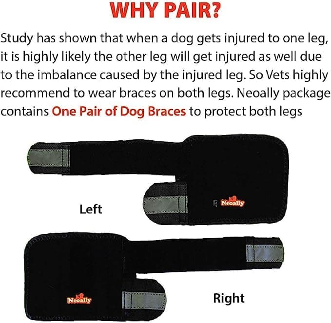 NeoAlly Pair of Front Leg Braces for Dog & Cat Canine Carpal Support with Safety Reflective Straps for Carpus and Wrist Joint Pain and Loss of Stability from Arthritis - 3 Colors (Black XXS/XS Pair)