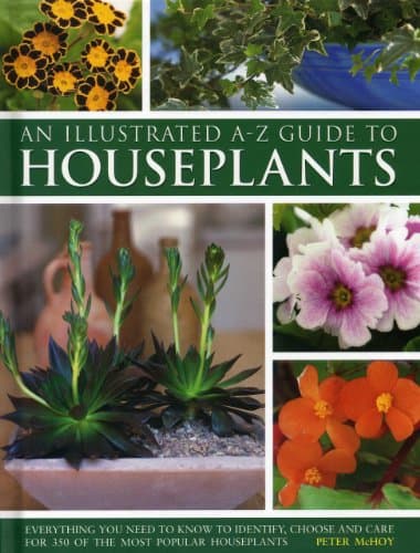 Illustrated A-Z Guide To Houseplants: Everything You Need To Know To Identify, Choose And Care For 350 Of The Most Popular Houseplants Hardcover – November 7, 2013