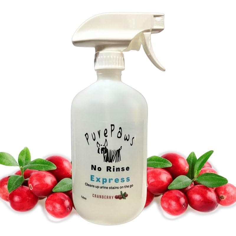 Pure Paws No Rinse Express | Keep Stains Off of Your Dog's Coat | 16oz